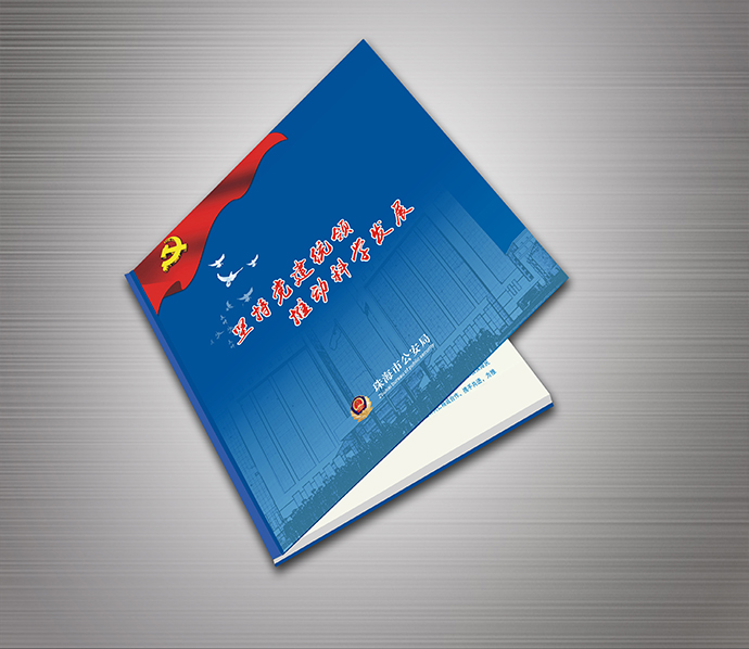 黨建畫冊/政府畫冊